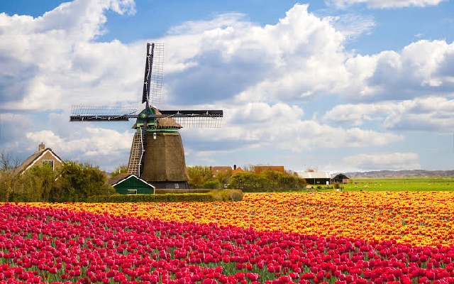 Trọn bộ kinh nghiệm khám phá thành phố Haarlem khi du lịch Hà Lan