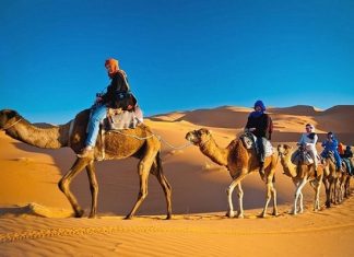 Khám phá top 22 địa điểm du lịch Dubai nổi tiếng không thể bỏ lỡ Khám phá top 22 địa điểm du lịch Dubai nổi tiếng không thể bỏ lỡ