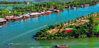 Kinh nghiệm du lịch Mũi Cà Mau, khám phá vẻ đẹp của cực Nam Tổ quốc