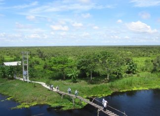 Khám phá những khu du lịch sinh thái ở Rạch Giá Kiên Giang nổi tiếng Khám phá những khu du lịch sinh thái ở Rạch Giá Kiên Giang nổi tiếng